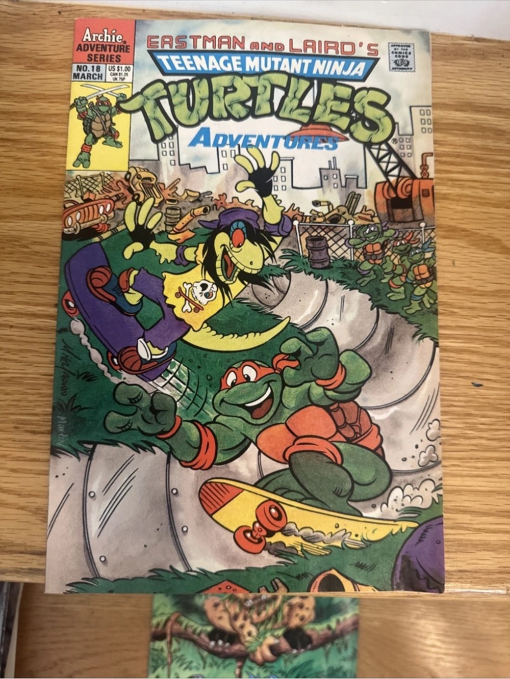 Teenage Mutant Ninja Turtles Adventures Comic Teenage Mutant 18 - 1991